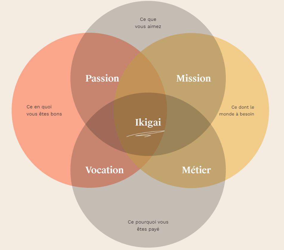 Image représentant la méthodologie de l'Ikigai