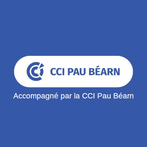 Logo de la CCI Pau-Béarn, partenaire de l'atelier d'orientation scolaire, de bilan de compétences, de coaching personnel, de coaching professionnel, Trèfle Aventure