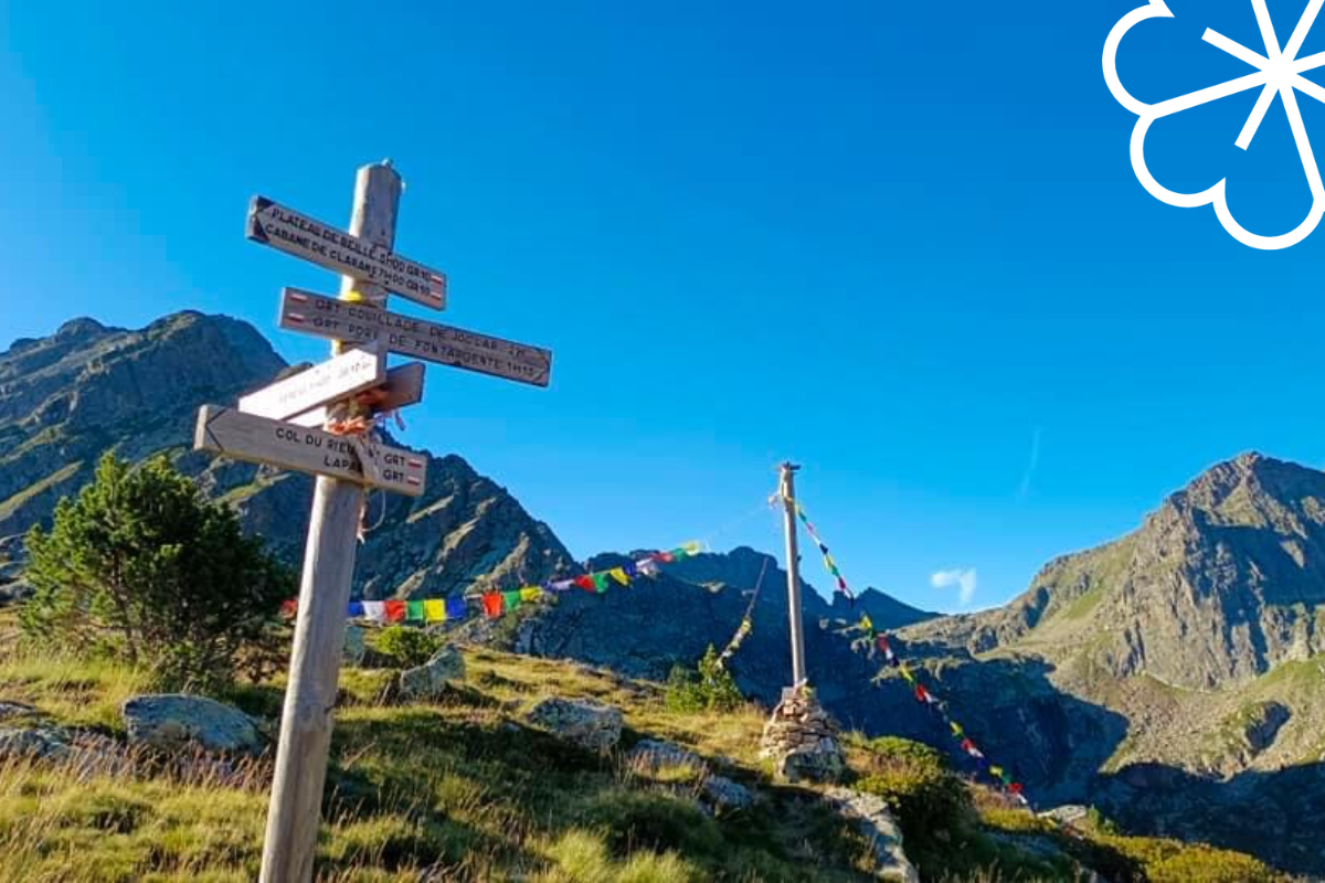 Comment trouver son orientation scolaire ? Trèfle Aventure